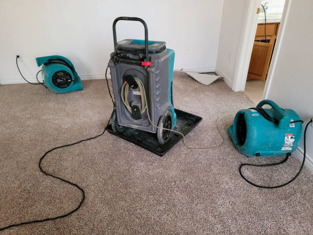 Best Mold removal after water damage  in Lower Burrell, PA