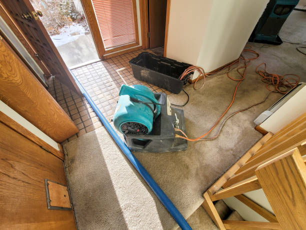Best Flood restoration services  in Lower Burrell, PA