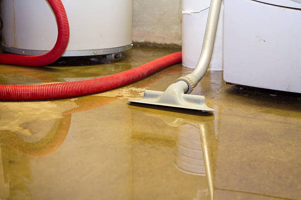 Best Fire Damage Restoration  in Lower Burrell, PA