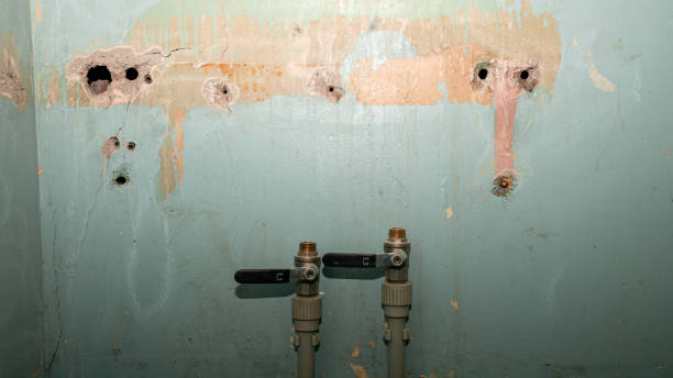  Lower Burrell, PA Water damage restoration Pros