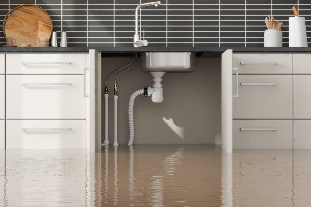 Best Sewage cleanup and water damage restoration  in Lower Burrell, PA