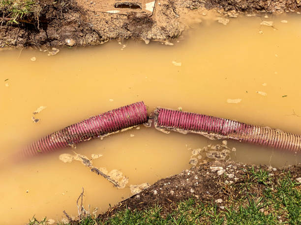 Best Water damage restoration near me  in Lower Burrell, PA