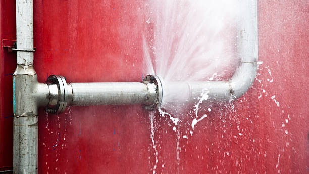 Best Flood restoration services  in Lower Burrell, PA